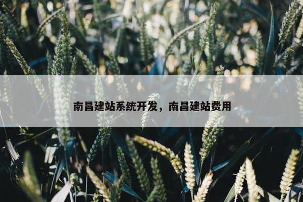 南昌建站系统开发，南昌建站费用