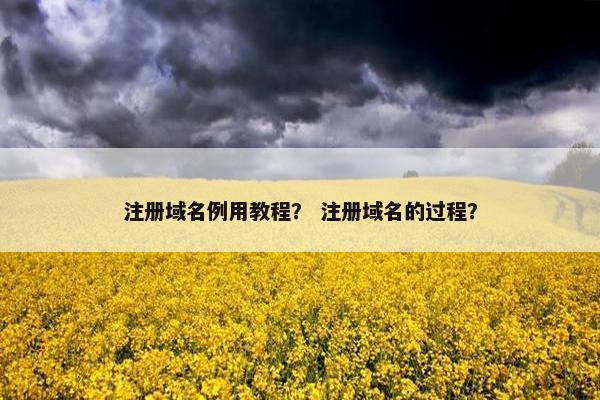 注册域名例用教程？ 注册域名的过程？