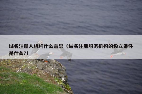 域名注册人机构什么意思（域名注册服务机构的设立条件是什么?）