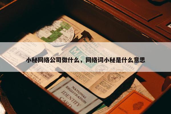 小秘网络公司做什么，网络词小秘是什么意思
