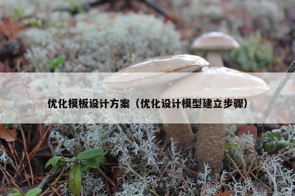 优化模板设计方案（优化设计模型建立步骤）