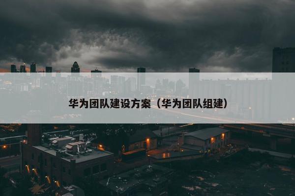华为团队建设方案（华为团队组建）