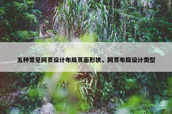 五种常见网页设计布局页面形状，网页布局设计类型