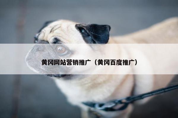 黄冈网站营销推广（黄冈百度推广）