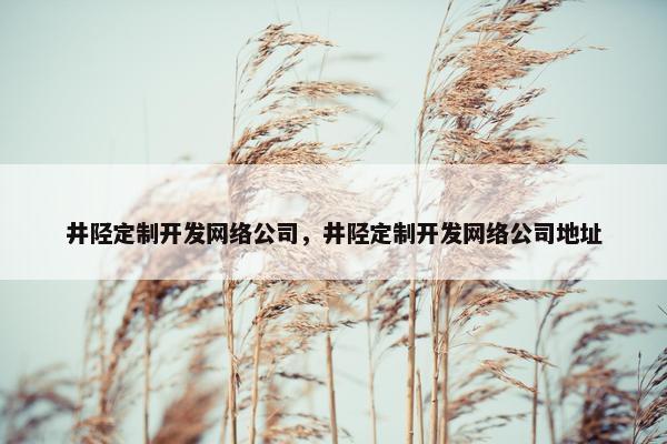 井陉定制开发网络公司，井陉定制开发网络公司地址