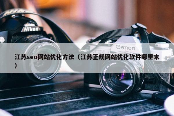 江苏seo网站优化方法（江苏正规网站优化软件哪里来）
