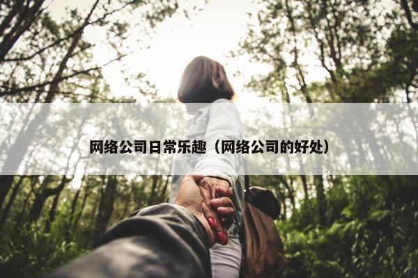 网络公司日常乐趣（网络公司的好处）