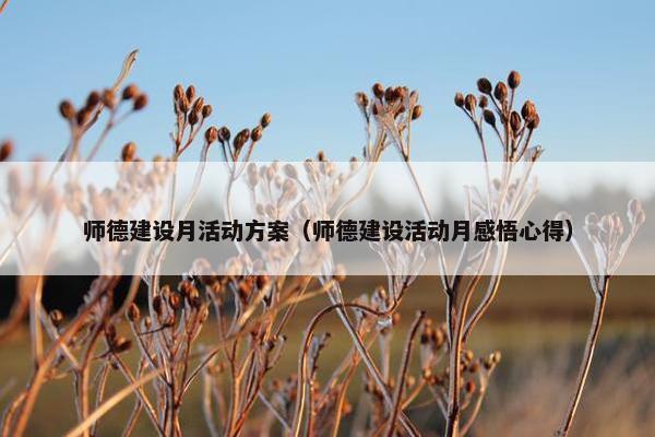 师德建设月活动方案（师德建设活动月感悟心得）