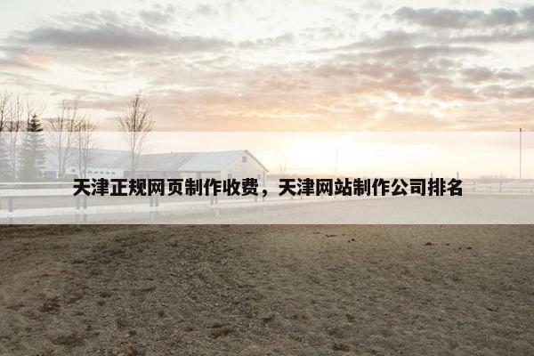 天津正规网页制作收费，天津网站制作公司排名