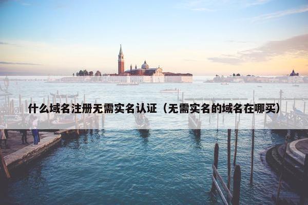 什么域名注册无需实名认证（无需实名的域名在哪买）