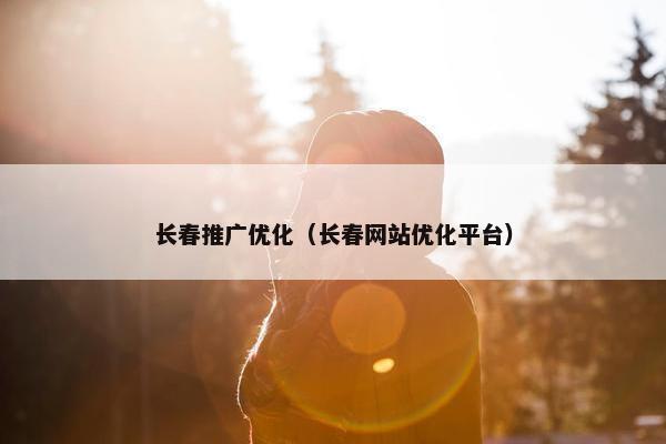长春推广优化（长春网站优化平台）