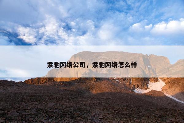 紫驰网络公司，紫驰网络怎么样