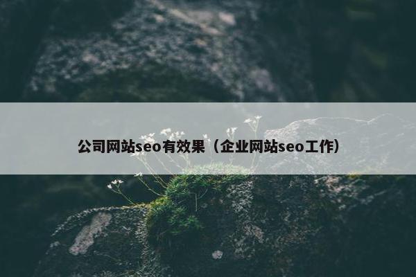 公司网站seo有效果（企业网站seo工作）