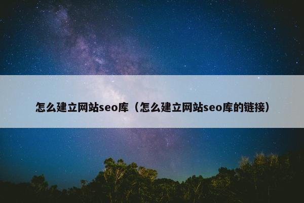 怎么建立网站seo库（怎么建立网站seo库的链接）