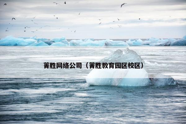 菁胜网络公司（菁胜教育园区校区）