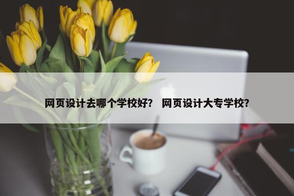 网页设计去哪个学校好？ 网页设计大专学校？