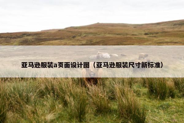 亚马逊服装a页面设计图（亚马逊服装尺寸新标准）