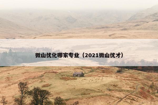 微山优化哪家专业（2021微山优才）
