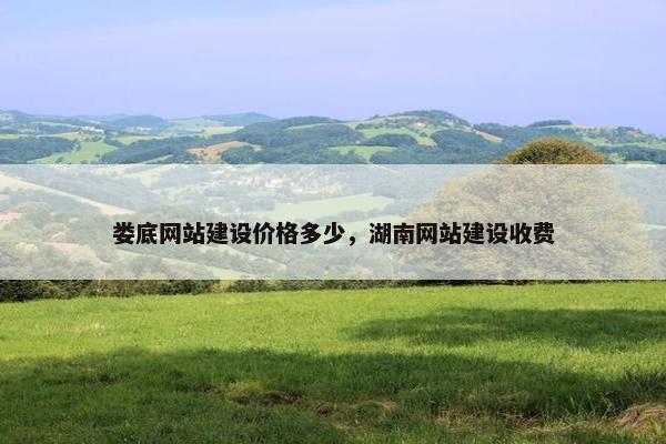 娄底网站建设价格多少，湖南网站建设收费