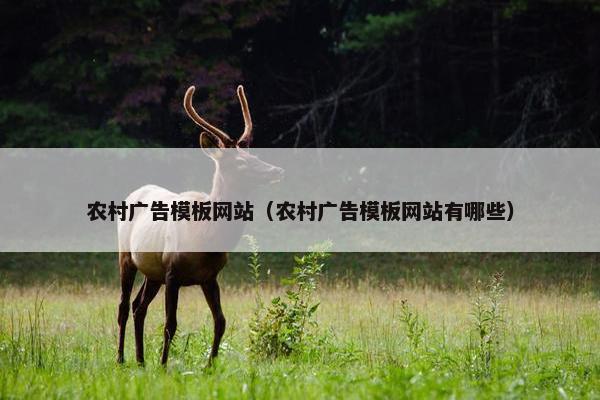 农村广告模板网站（农村广告模板网站有哪些）