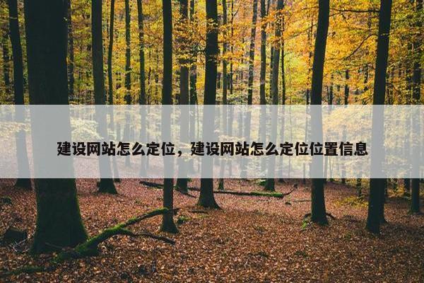 建设网站怎么定位，建设网站怎么定位位置信息