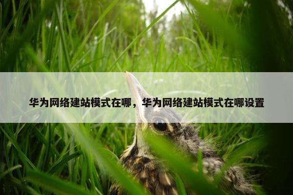 华为网络建站模式在哪，华为网络建站模式在哪设置