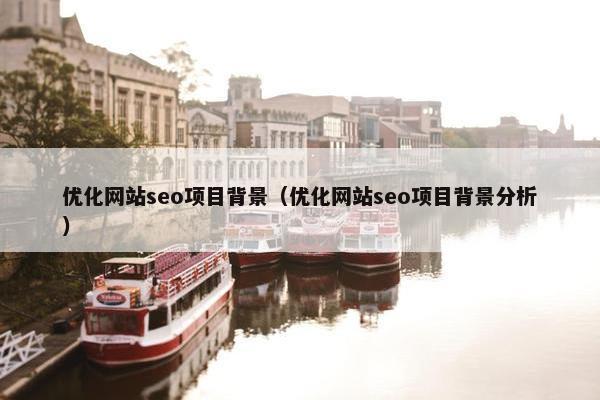 优化网站seo项目背景（优化网站seo项目背景分析）