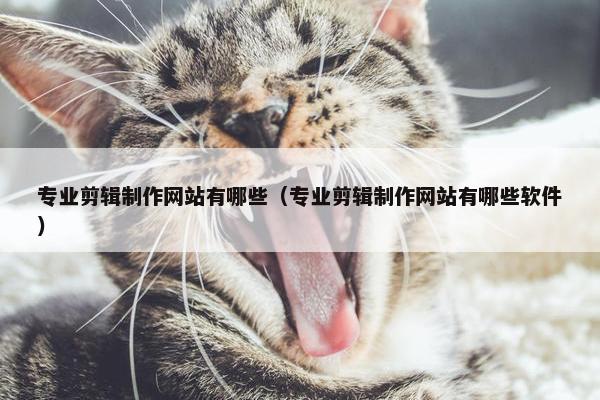 专业剪辑制作网站有哪些（专业剪辑制作网站有哪些软件）