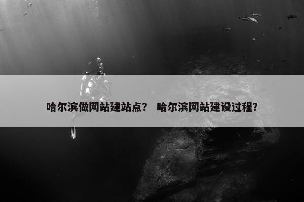 哈尔滨做网站建站点？ 哈尔滨网站建设过程？