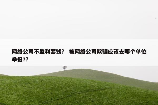 网络公司不盈利套钱？ 被网络公司欺骗应该去哪个单位举报?？