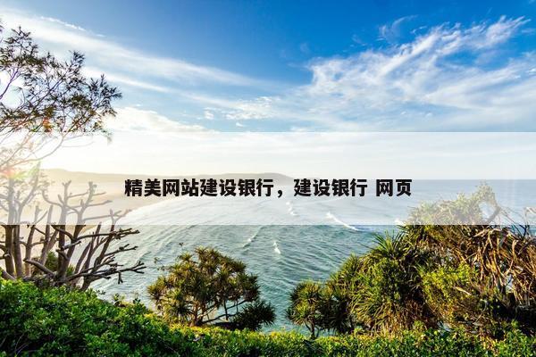 精美网站建设银行，建设银行 网页