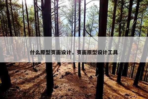 什么原型页面设计，页面原型设计工具