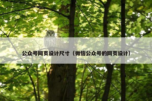 公众号网页设计尺寸（微信公众号的网页设计）