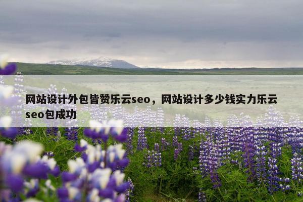 网站设计外包皆赞乐云seo，网站设计多少钱实力乐云seo包成功