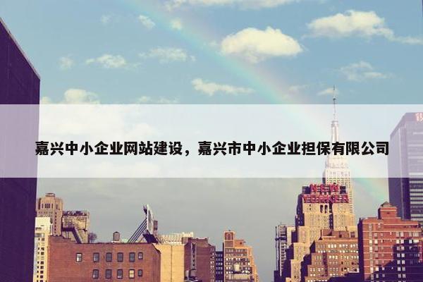 嘉兴中小企业网站建设，嘉兴市中小企业担保有限公司