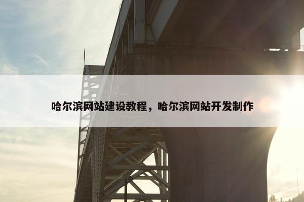 哈尔滨网站建设教程，哈尔滨网站开发制作