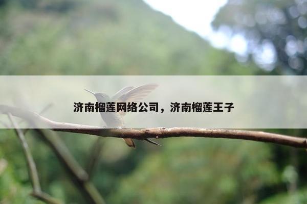 济南榴莲网络公司，济南榴莲王子