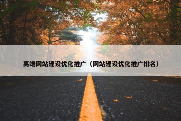 高端网站建设优化推广（网站建设优化推广排名）
