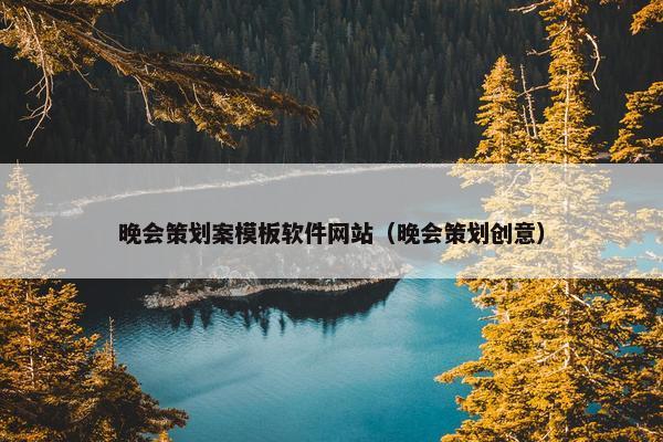晚会策划案模板软件网站（晚会策划创意）