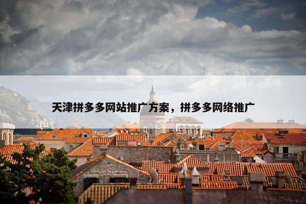 天津拼多多网站推广方案，拼多多网络推广
