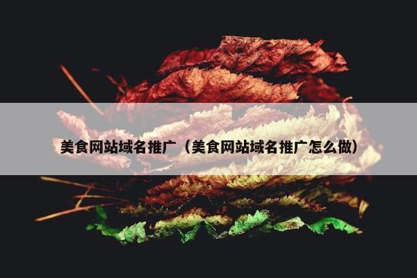 美食网站域名推广（美食网站域名推广怎么做）