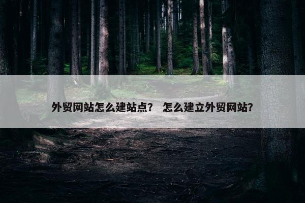 外贸网站怎么建站点？ 怎么建立外贸网站？