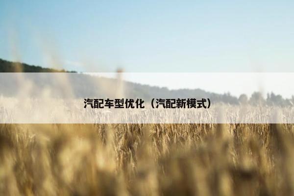 汽配车型优化（汽配新模式）