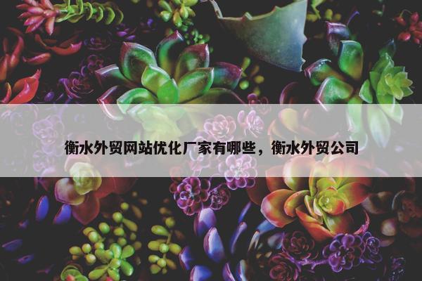 衡水外贸网站优化厂家有哪些，衡水外贸公司