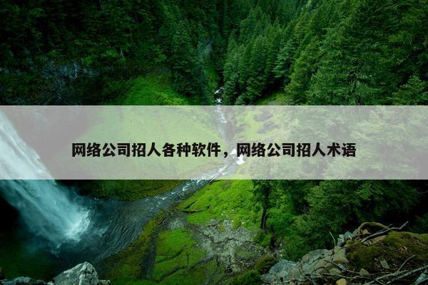 网络公司招人各种软件，网络公司招人术语