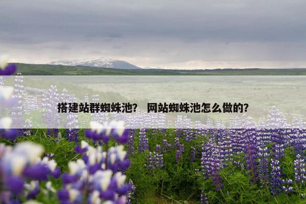 搭建站群蜘蛛池？ 网站蜘蛛池怎么做的？