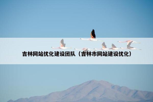 吉林网站优化建设团队（吉林市网站建设优化）