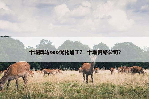 十堰网站seo优化加工？ 十堰网络公司？