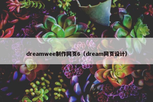 dreamwee制作网页6（dream网页设计）