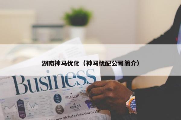 湖南神马优化（神马优配公司简介）